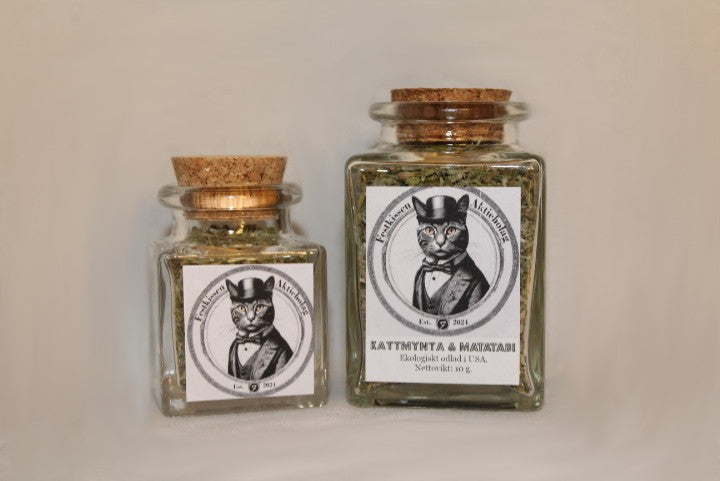 Festkissens kattmynta & matatabi