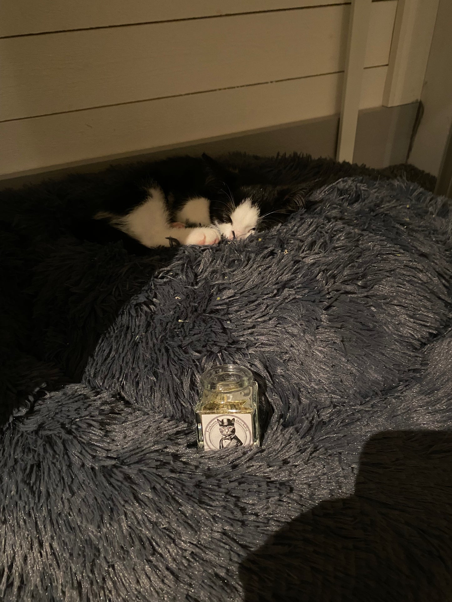 Festkissens kattmynta & matatabi
