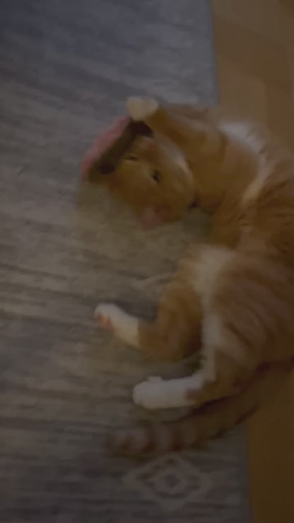 4cats™ - Plysch-hjärta med kattmynta & matatabi